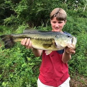 Meet your Posher, Austin